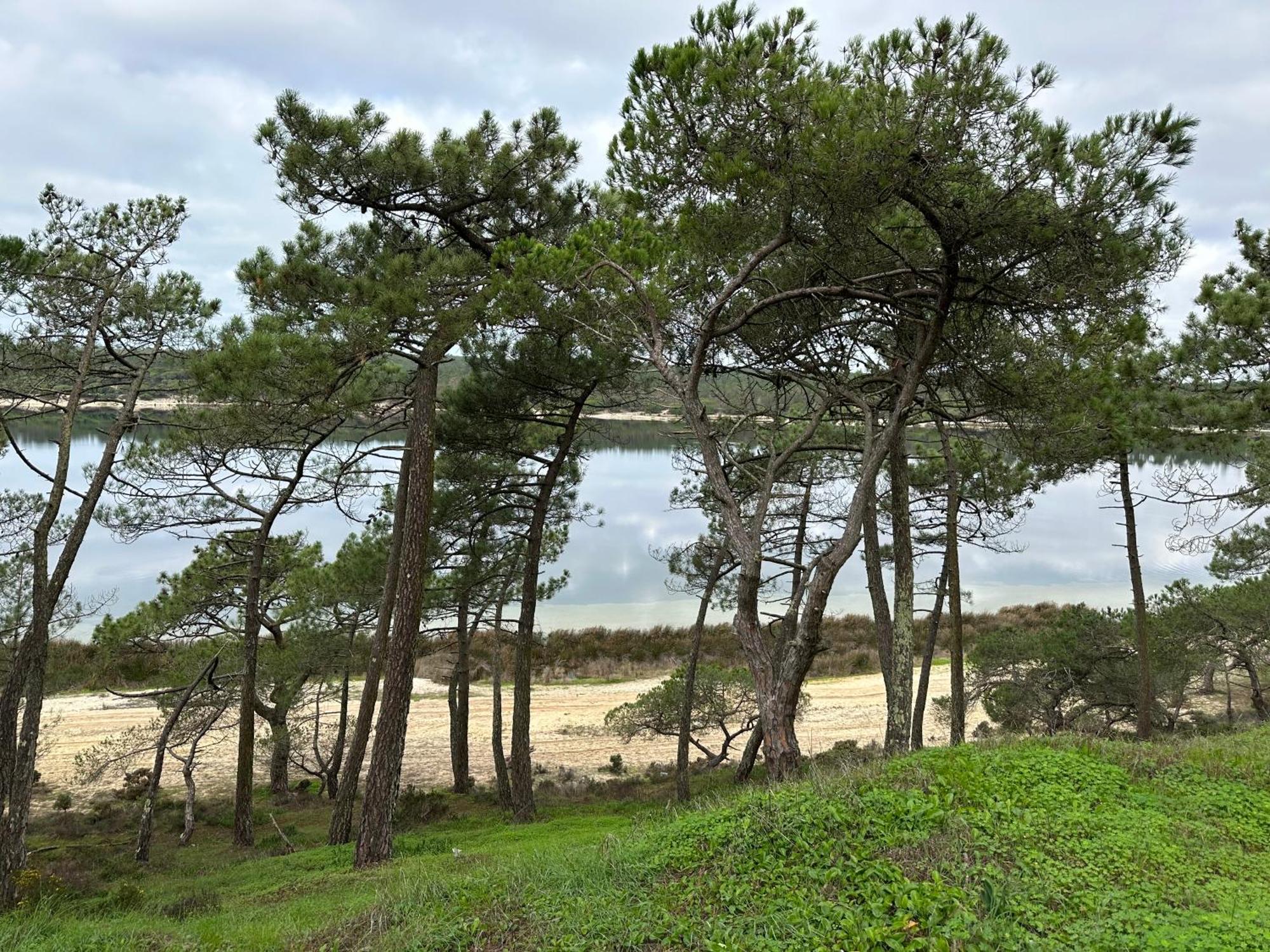 Eco-Friendly Beach House سيسيمبرا المظهر الخارجي الصورة